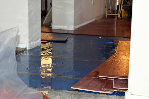 Professional Water Extraction technician working in Henderson, MI